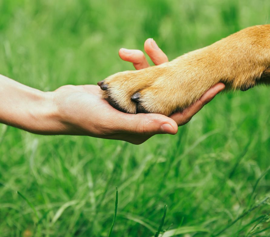 Respect and Responsibility